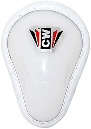 CW Academy Cricket Match Set Training Cricket Set Outdoor Game Set for Cricket Play Unisex Cricket Kits Junior Cricket Set with Large Wheels Kit Bag Right Hand Batting Set