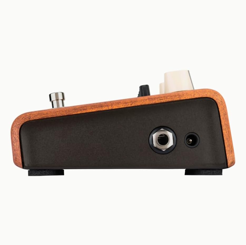 LR Baggs Align Series Equalizer Acoustic Guitar EQ Pedal Bundle w/ 12x Fender Picks and Liquid Audio Polishing Cloth