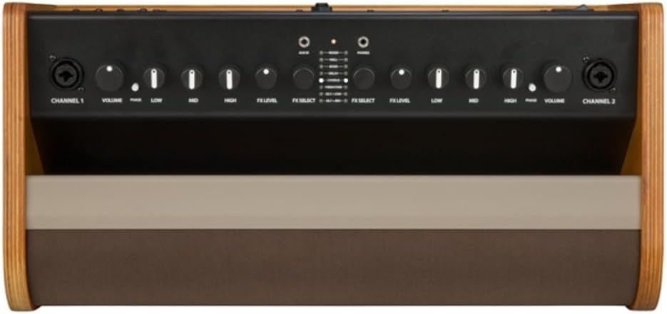 Fender Acoustic Guitar Amplifier 100-watt, Natural Blonde Bundle w/Pig Hog PCH10BK Black Woven Instrument Cable, Power Cable and Liquid Audio Polishing Cloth