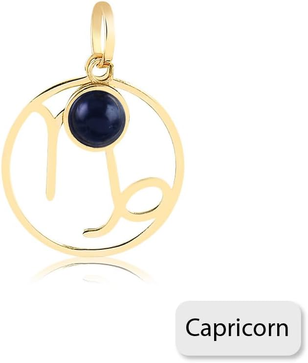 14k Solid Yellow Gold Zodiac Signs Medal Pendant for Necklace for Girls, Teens, Women and Men (Capricorn)
