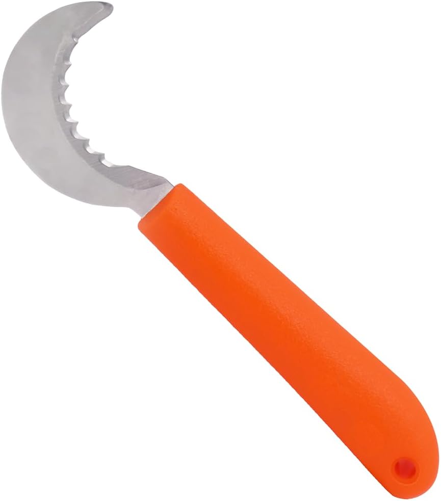 Zenport K101M Mini Harvest Utility Hook Knife, Grape and Melon, 2.5 Inch Stainless Steel Blade, Orange - 12 Pack