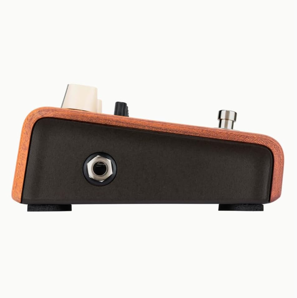 LR Baggs Align Series Equalizer Acoustic Guitar EQ Pedal Bundle w/ 12x Fender Picks and Liquid Audio Polishing Cloth