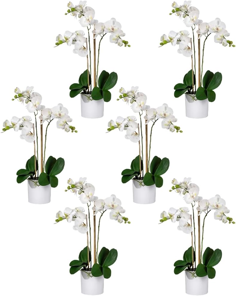 Serene Spaces Living White Realistic Phalaenopsis Orchids in Pot, Artificial Potted Flowers - Beautiful Entryway Vase, Foyer Table Décor, Measures 26' Tall & 5' Diameter, Set of 6