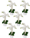 Serene Spaces Living White Realistic Phalaenopsis Orchids in Pot, Artificial Potted Flowers - Beautiful Entryway Vase, Foyer Table Décor, Measures 26' Tall & 5' Diameter, Set of 6