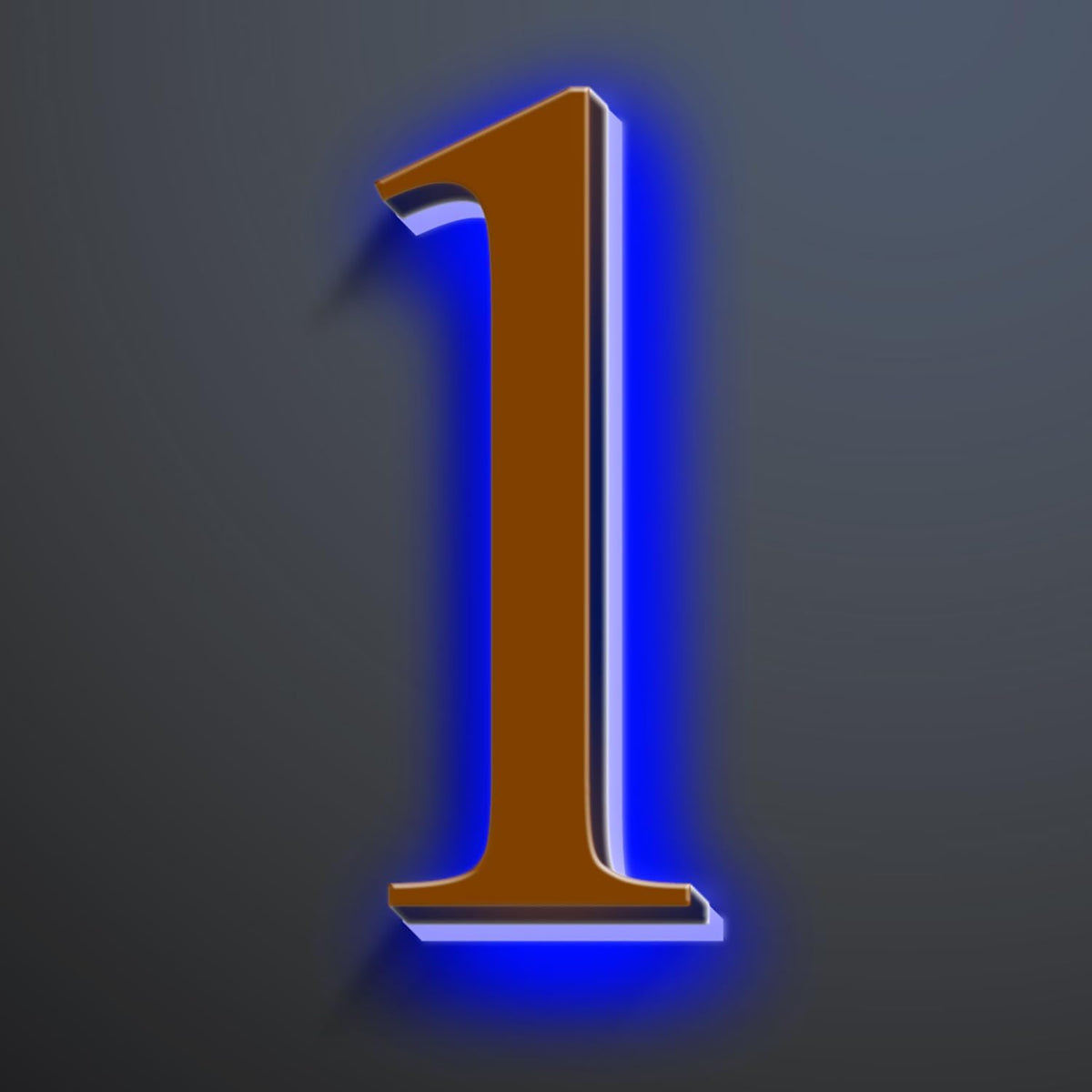 Backlit Illuminated LED House Numbers For Outside 20 Inch, Stainless Steel Illuminated LED Home Address Numbers, Large Modern Lighted Address Signs, Brown, Blue Light,1