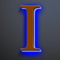 Backlit LED Illuminated House Numbers 18 Inch, Stainless Steel Hand-Polished For House Address Signs, Large Metal Modern Lighted Home Address Numbers, Brown, Blue Light,I