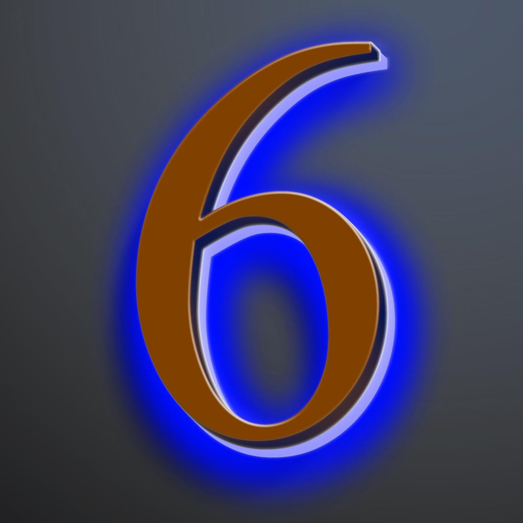 Backlit Illuminated LED House Numbers For Outside 20 Inch, Stainless Steel Illuminated LED Home Address Numbers, Large Modern Lighted Address Signs, Brown, Blue Light,6