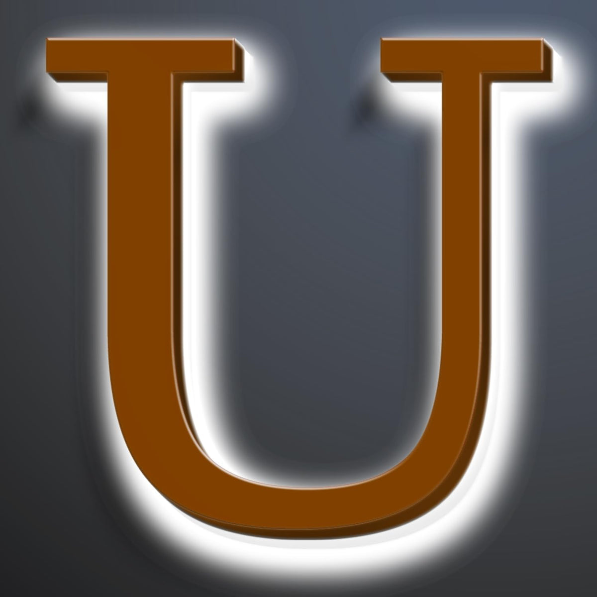 Illuminated Address Sign 16 Inch, Backlit LED Illuminated House Number For Outside, Stainless Steel Lighted Address Numbers, Modern, Trendy Signs, Brown, White Light,U