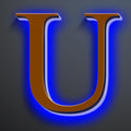 Backlit Illuminated LED House Numbers For Outside 20 Inch, Stainless Steel Illuminated LED Home Address Numbers, Large Modern Lighted Address Signs, Brown, Blue Light,U