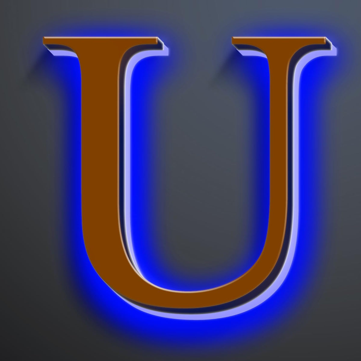 Large Backlit LED House Numbers 16 Inch, Stainless Steel Hand-Polished For Lighted House Address Signs, Modern Illuminated LED Home Address Numbers, Brown, Blue Light,U