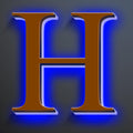 Backlit Illuminated LED House Numbers For Outside 20 Inch, Stainless Steel Illuminated LED Home Address Numbers, Large Modern Lighted Address Signs, Brown, Blue Light,H