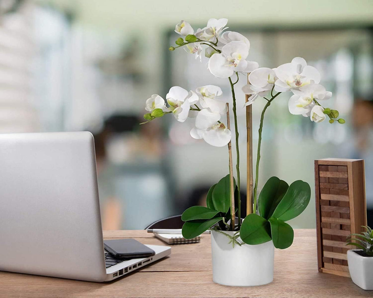 Serene Spaces Living White Realistic Phalaenopsis Orchids in Pot, Artificial Potted Flowers - Beautiful Entryway Vase, Foyer Table Décor, Measures 26' Tall & 5' Diameter, Set of 6