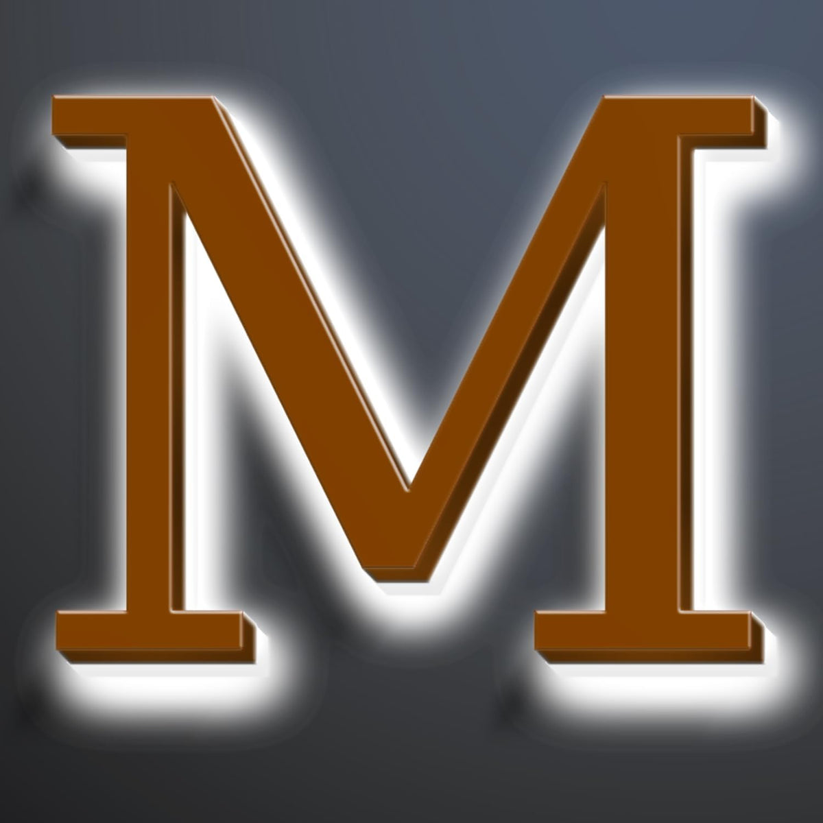 Illuminated Address Sign 16 Inch, Backlit LED Illuminated House Number For Outside, Stainless Steel Lighted Address Numbers, Modern, Trendy Signs, Brown, White Light,M