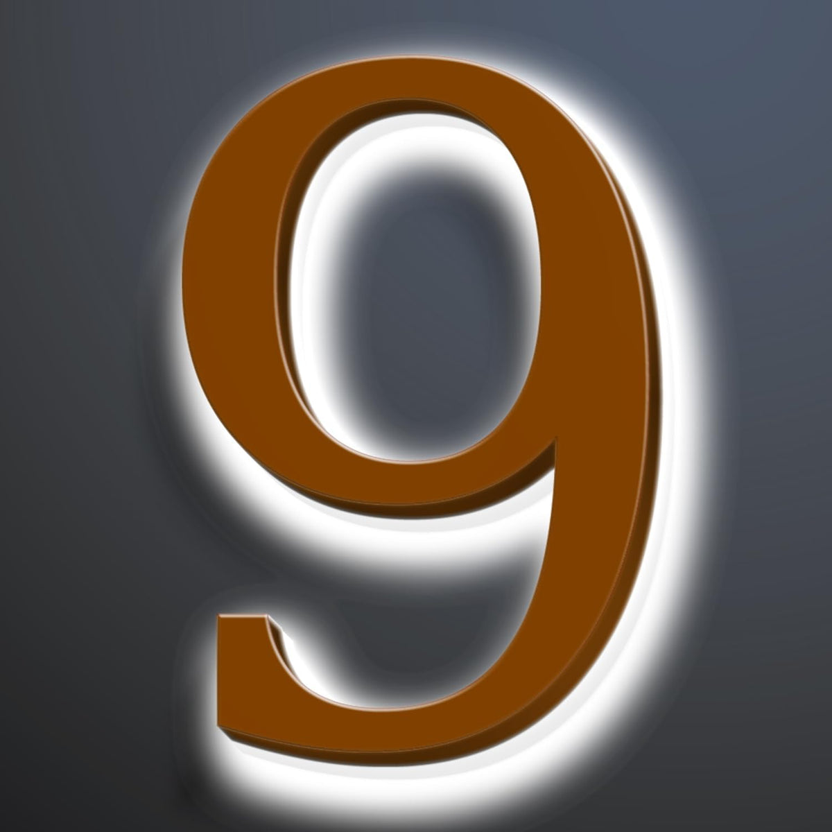 Illuminated Address Sign 16 Inch, Backlit LED Illuminated House Number For Outside, Stainless Steel Lighted Address Numbers, Modern, Trendy Signs, Brown, White Light,9