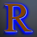 Large Backlit LED House Numbers 16 Inch, Stainless Steel Hand-Polished For Lighted House Address Signs, Modern Illuminated LED Home Address Numbers, Brown, Blue Light,R