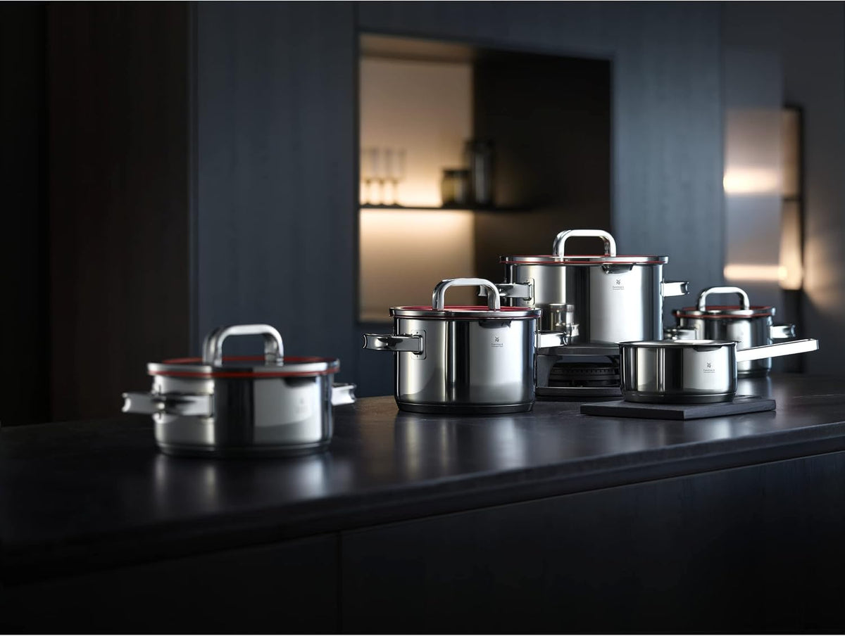 WMF 760056380 Function 4 Cookware Set with Steamer Insert, Stainless Steel, Transparent, 20 cm, 5 Units