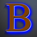 Large Backlit LED House Numbers 16 Inch, Stainless Steel Hand-Polished For Lighted House Address Signs, Modern Illuminated LED Home Address Numbers, Brown, Blue Light,B