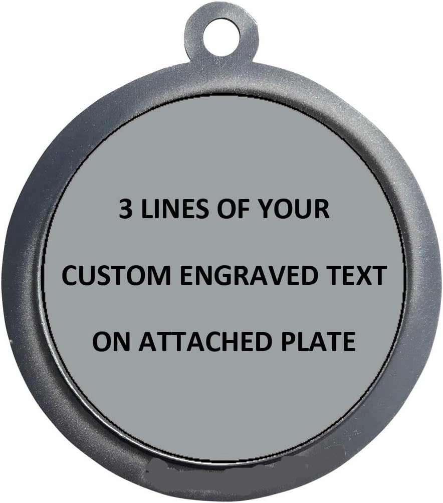 Express Medals Engraved 1 to 50 Packs Engraved Rugby Silver Medal Trophy Award with Personalized Custom Text LD212-MY486