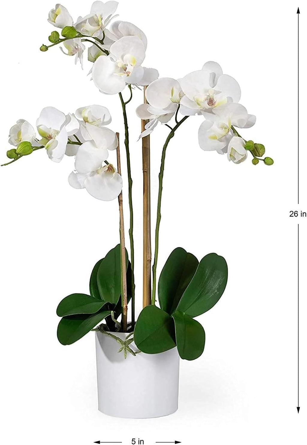 Serene Spaces Living White Realistic Phalaenopsis Orchids in Pot, Artificial Potted Flowers - Beautiful Entryway Vase, Foyer Table Décor, Measures 26' Tall & 5' Diameter, Set of 6