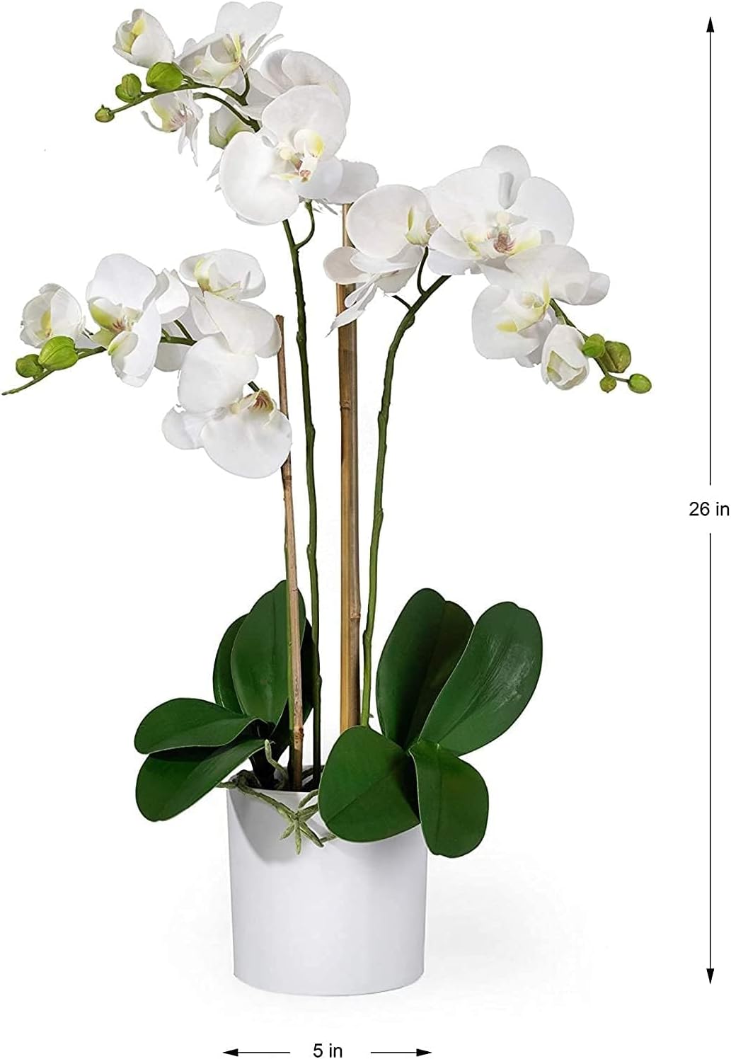 Serene Spaces Living White Realistic Phalaenopsis Orchids in Pot, Artificial Potted Flowers - Beautiful Entryway Vase, Foyer Table Décor, Measures 26' Tall & 5' Diameter, Set of 6