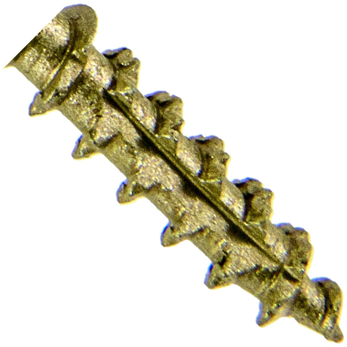 Jake Sales #14 x 2 Construction Lag Screw Exterior Coated Torx/Star Drive Heavy Duty Structural Lag Screw Far Superior to Common Lag Screws (Full Box -1400 Screw Count) Modified Truss Washer Head
