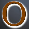 Illuminated Address Sign 16 Inch, Backlit LED Illuminated House Number For Outside, Stainless Steel Lighted Address Numbers, Modern, Trendy Signs, Brown, White Light,O