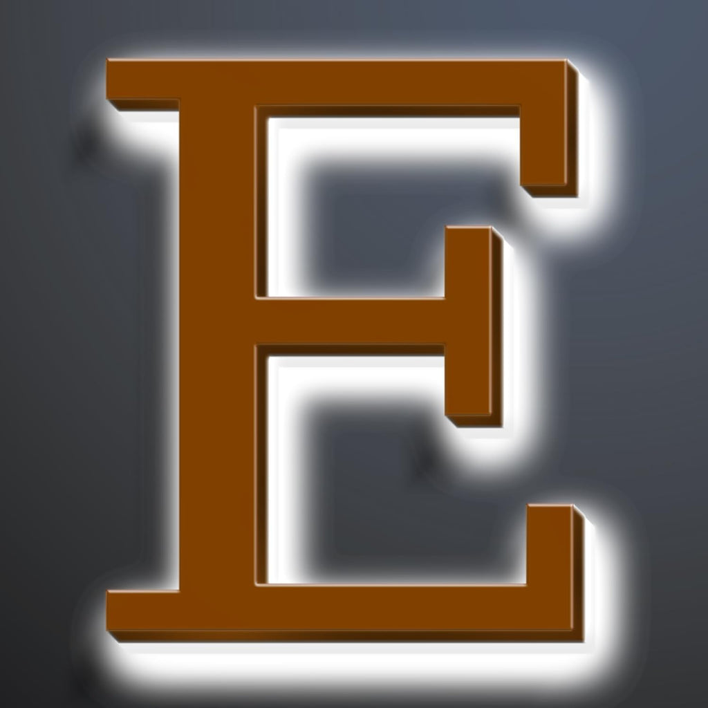 Illuminated Address Sign 16 Inch, Backlit LED Illuminated House Number For Outside, Stainless Steel Lighted Address Numbers, Modern, Trendy Signs, Brown, White Light,E