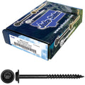 10 x 2-1/2' Black Round Truss Head Multipurpose Exterior Coated Modified Cabinet Wood Screw - 5 Pound Case -3,204 Screws