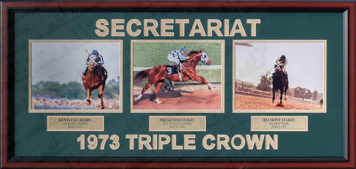 Ron Turcotte Riding Secretariat Triple Crown Framed Horse Racing Collage