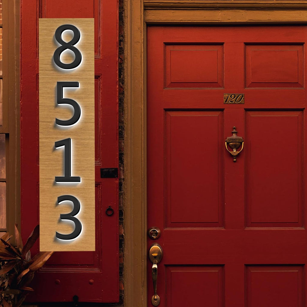 LED Home Address Numbers, Backlit LED Illuminated House Numbers, Stainless Steel Hand-Polished For House Address Signs, Lighted House Number For Outside,20 Inch/500mm,6
