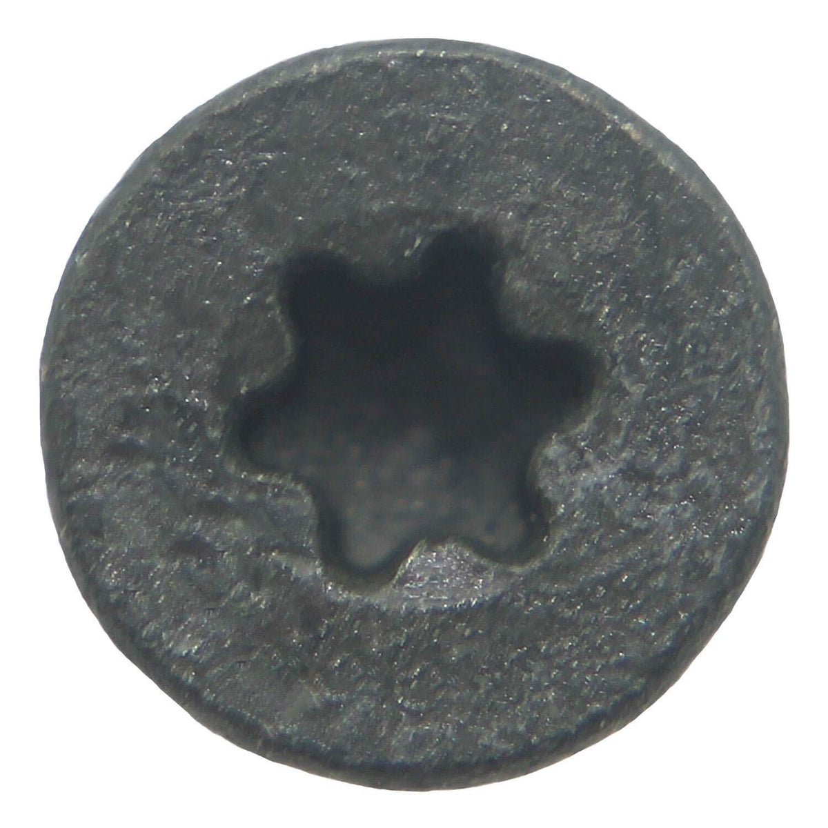 Jake Sales #10x1-5/8' Cement Board Screws - Star/Torx T-25 Head (4000 Count)