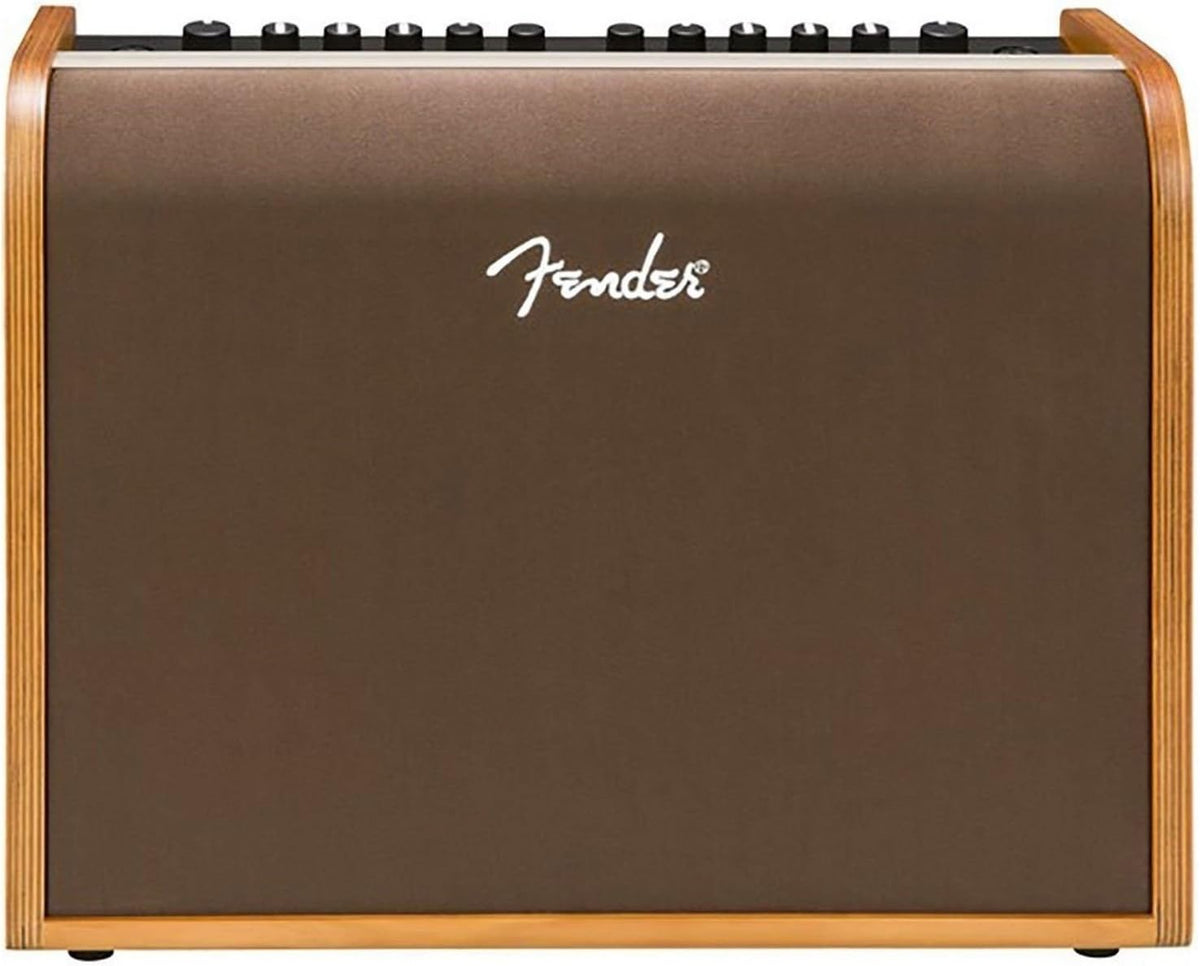 Fender Acoustic 100 Guitar Amp