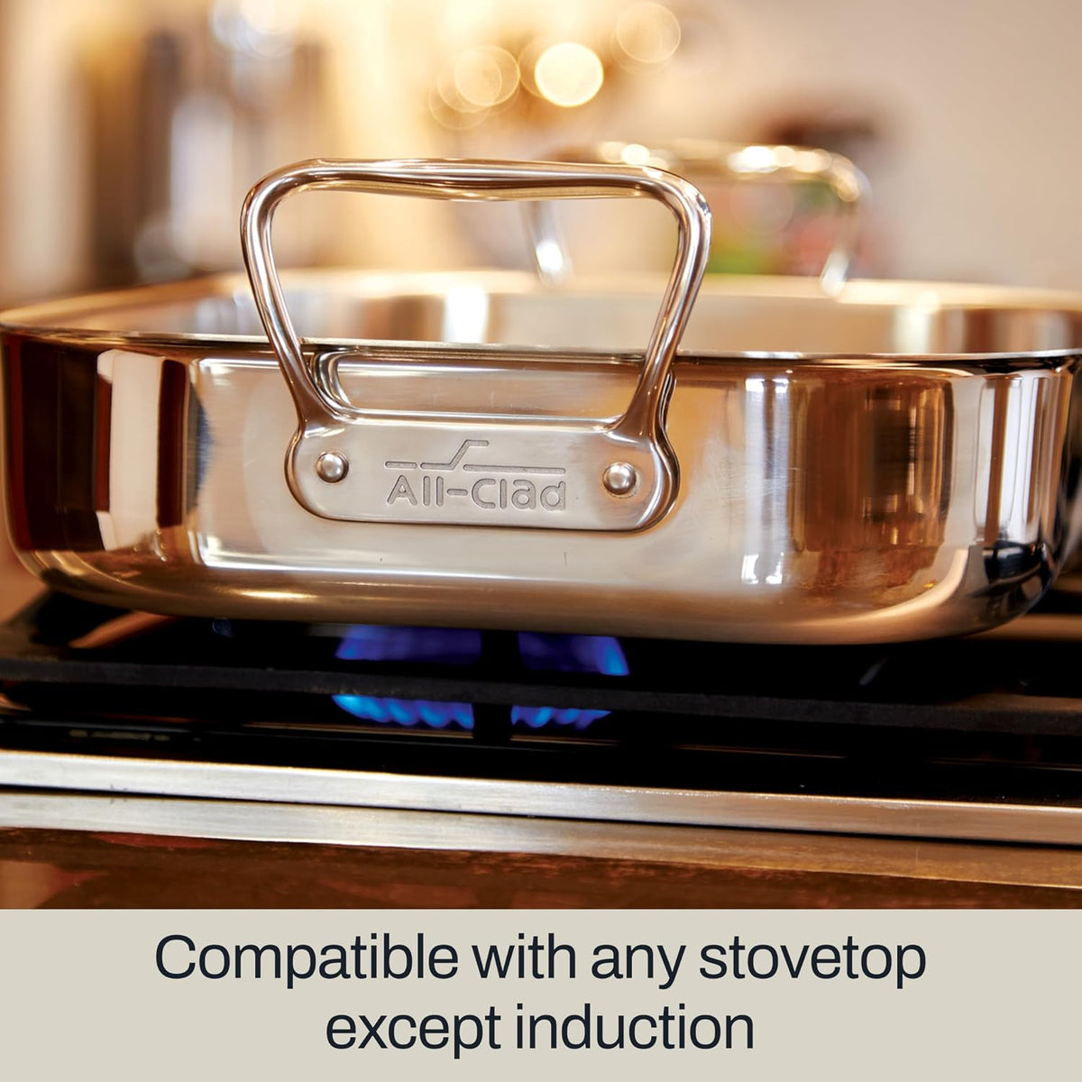 All-Clad Specialty Stainless Steel Roaster with Nonstick Rack 11x14 Inch Oven Broiler Safe 600F Roaster Pan, Pots and Pans, Bakeware, Silver