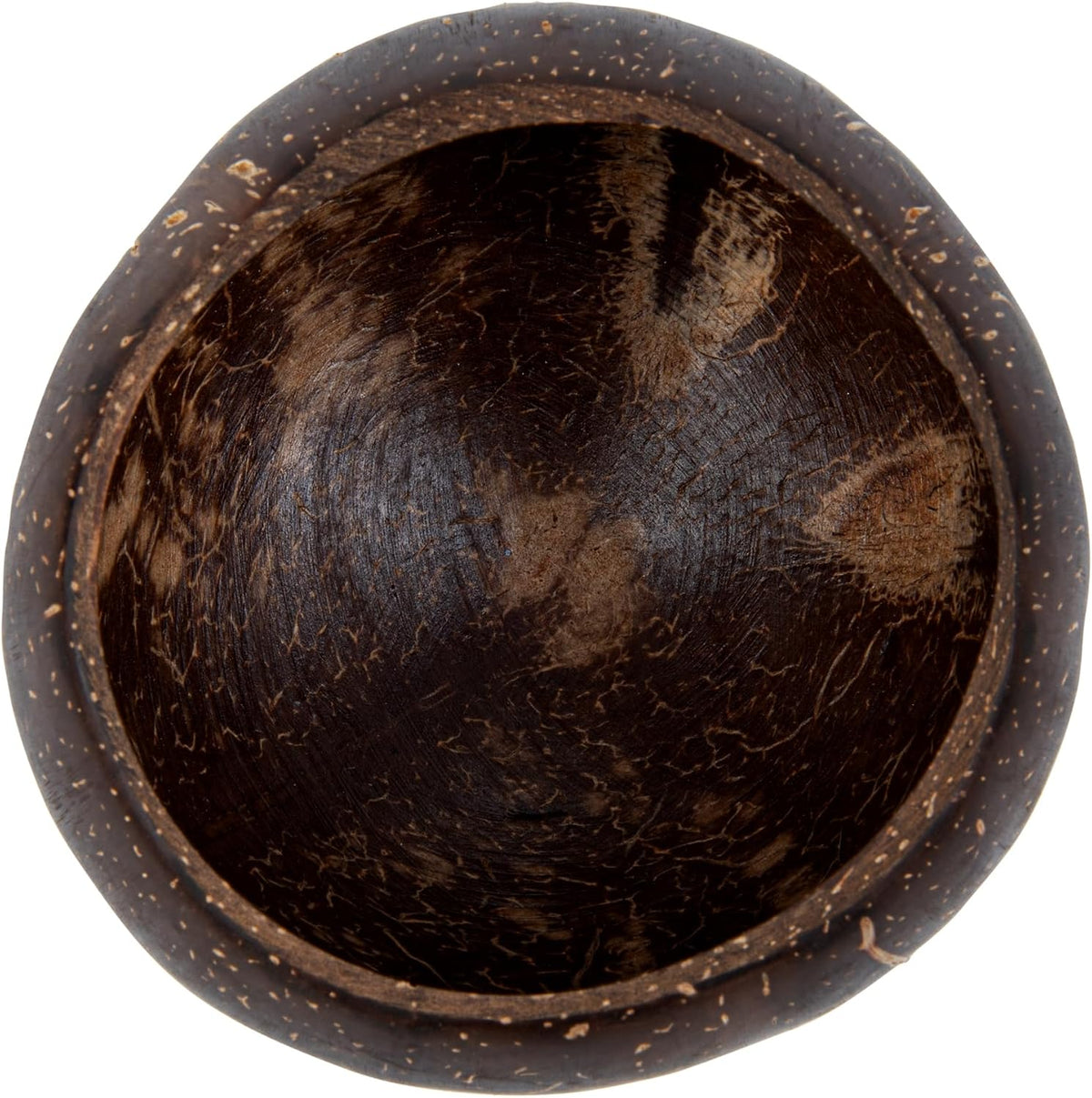 Restaurantware - Coco Casa 10 Ounce Coconut Shell Cups, 40 Mini Martini Goblets - Handmade, Polished, Coconut Shell Cocktail Tiki Cups, Hawaiian Theme For Parties, Serve Wine, Dessert, Smoothies