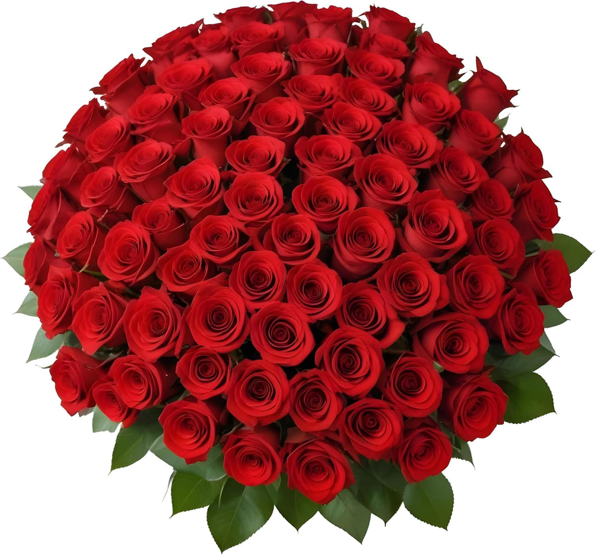 100 Red Roses | Bulk Roses by Arabella Bouquets | Real Fresh Flowers for Delivery, Gift for Birthday Women, Congratulations, Anniversary, Thank You, Mother's Day